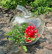 O. RoseLif Террариум стеклянные круглые горшки цветочный горшок вазы настольные Свадебные украшения выдувные горшки яблочный террариум