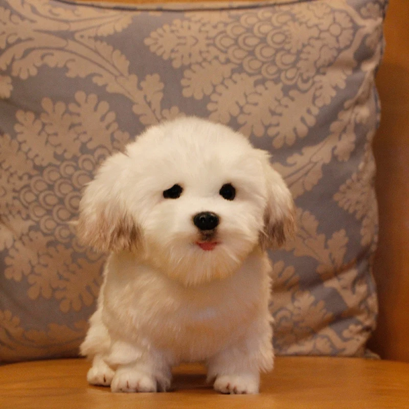 maltese plush toy