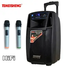 TEMEISHENG SL08 Высокая мощность портативный громкоговоритель Bluetooth динамик поддержка беспроводной микрофон открытый аудио динамик MP3 плеер