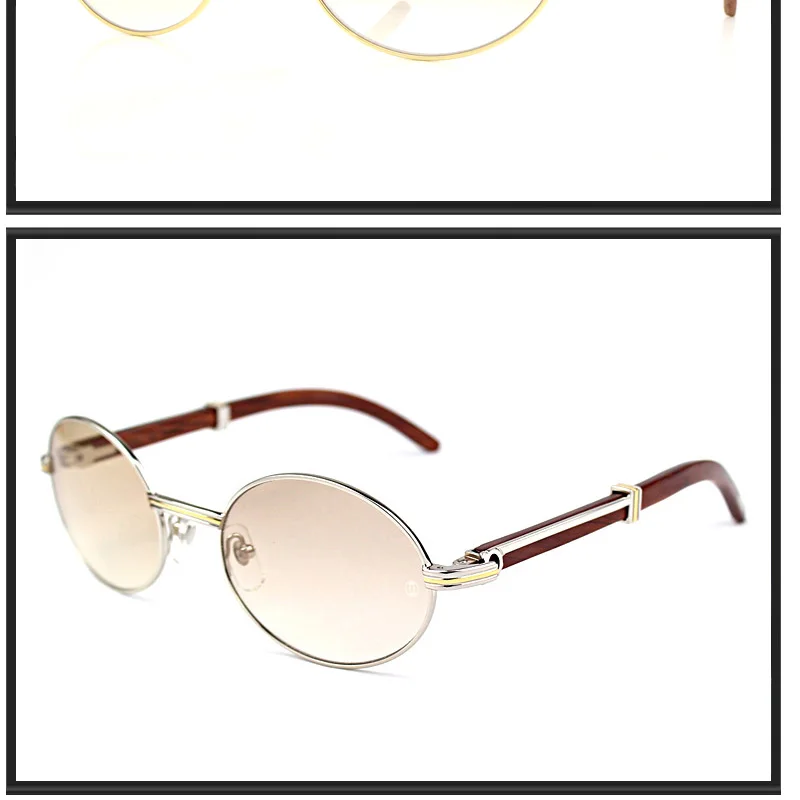 carter sunglasses (12)