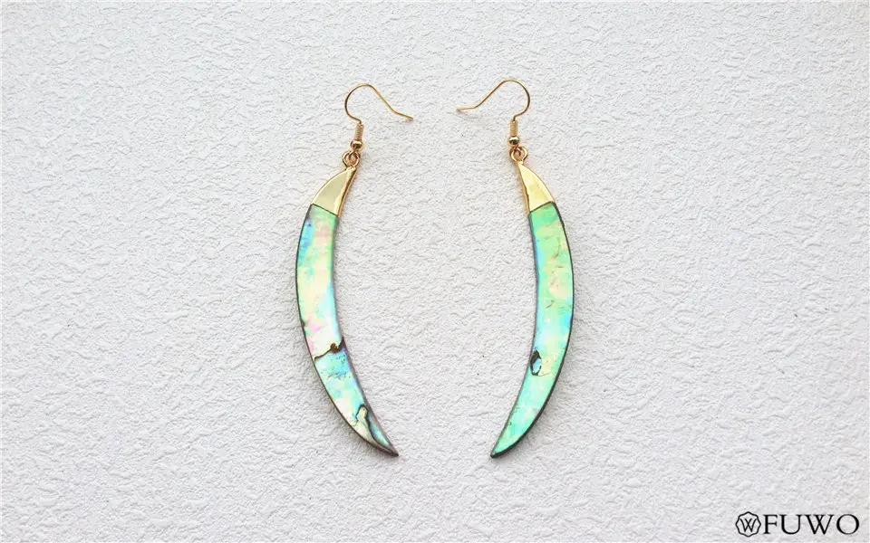 Tusk Abalone Shell Earrings 7