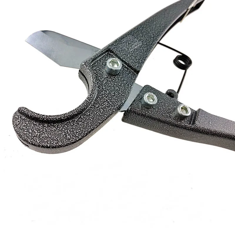 4287005853_687789296