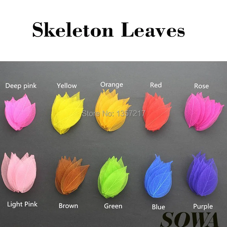 

Free Shipping Wholesale Multi Color Dyed Leaf Vein Natural Skeleton Leaves Organic Craft DIY ($6/100PCS)