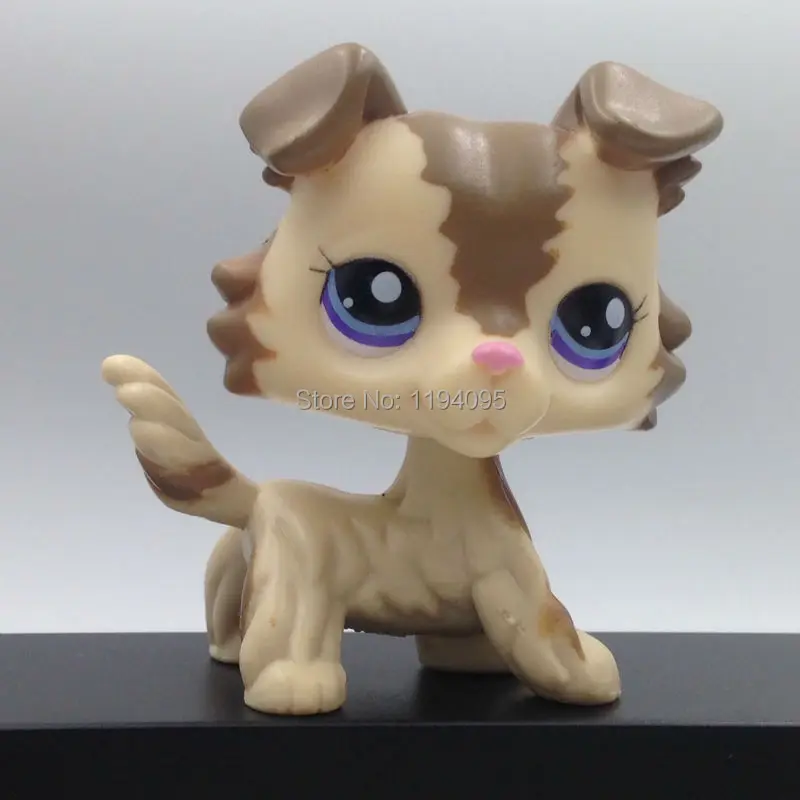 Collie старые Редкие собаки животное магазин lps игрушки