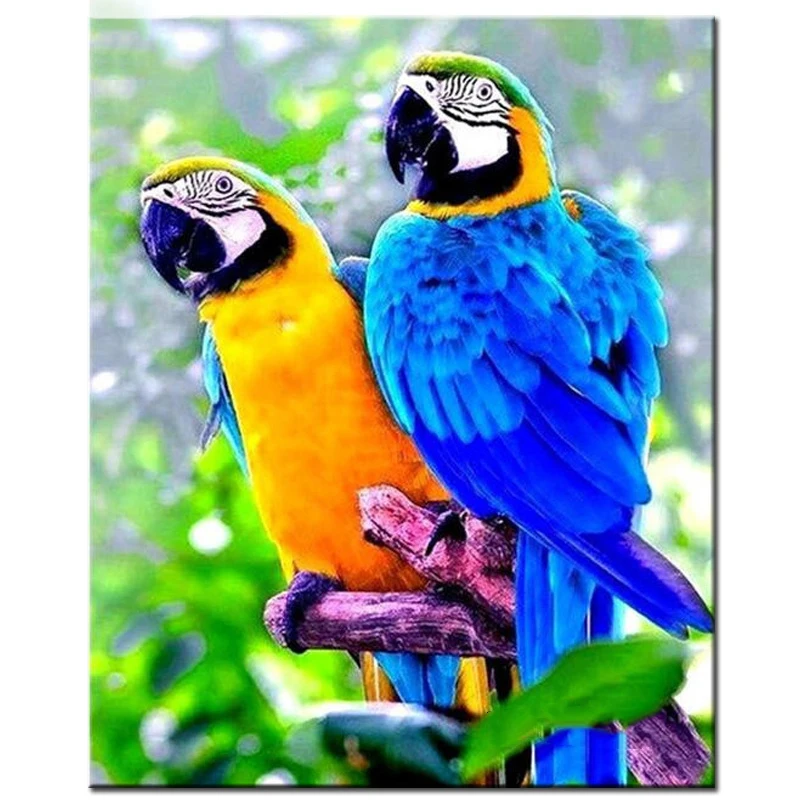 

Diy 5D Diamond Embroidery Two parrots Diamond Mosaic Picture Square Diamond Painting Cross Stitch Kit Needlework