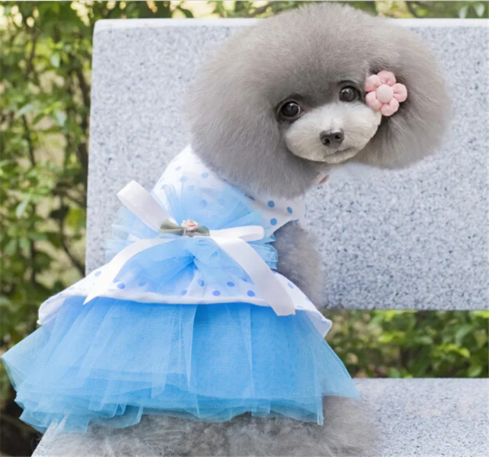 Factory wholesale pet clothing dog lace dress pet clothes spring and