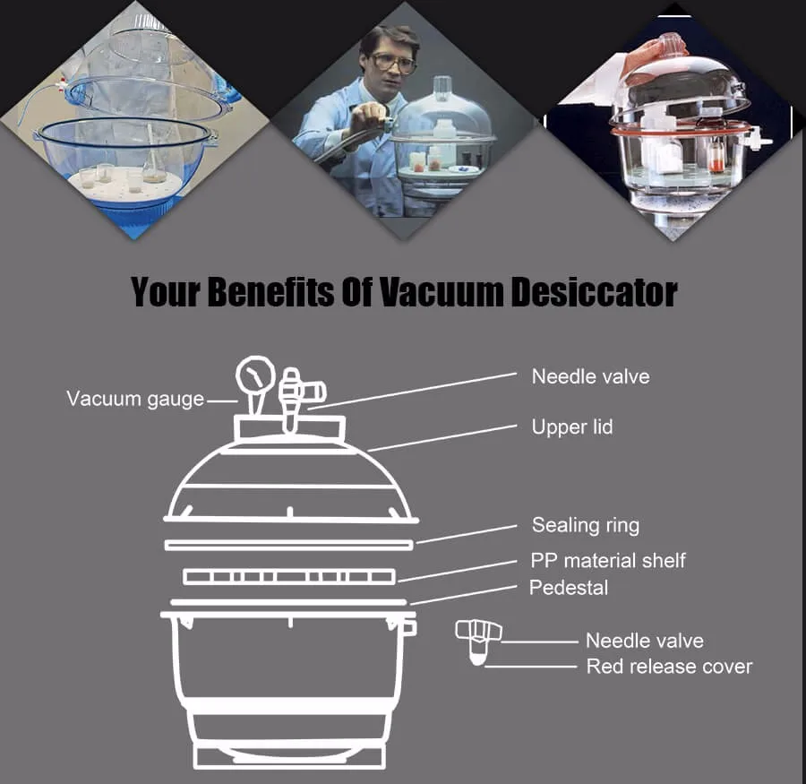  150 Vacuum Desiccator (4)