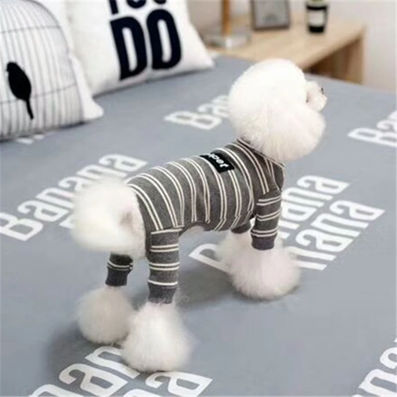 dog clothes winter (5)