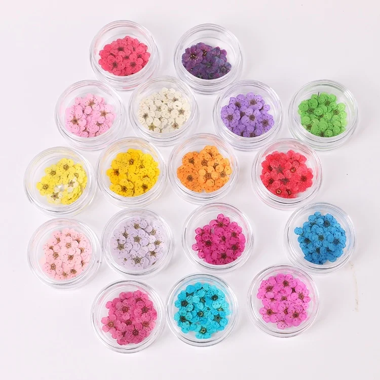 Caixas a Granel Caixa de Flores Arte do Prego Garrafa de Flor Multi 1 Secas Faça Você Mesmo Preservado Seca Manicure Decoração 10 Cor Pçs –