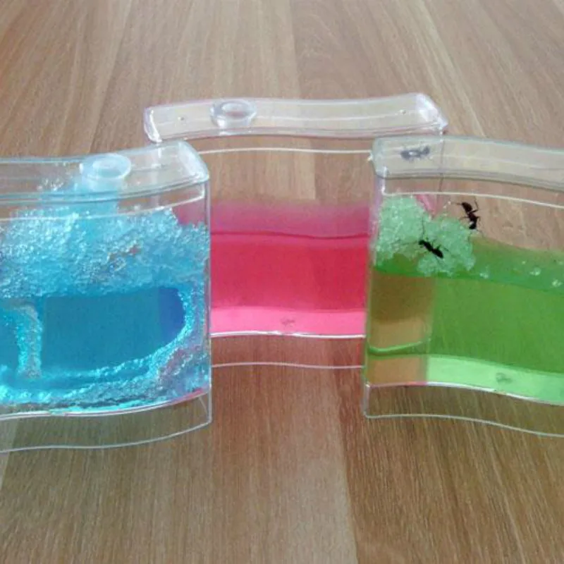 

Butterfly Ant Hin Ant Paradise Baby Kindergarten Gift Type Small Toys For Children The Ant Home Small Workshop Ant farm