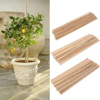 

50pcs/set Wooden Plant Grow Support Bamboo Plant Sticks 30cm Garden Cane Plants Flower Support Stick Canes 3 Sizes