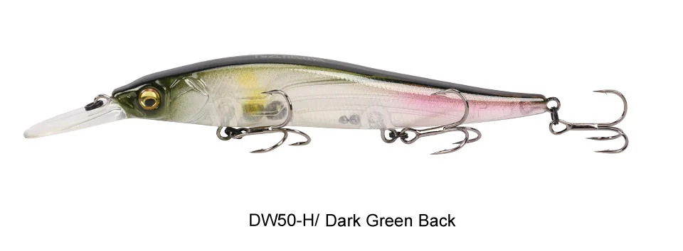 DW50---Y_48
