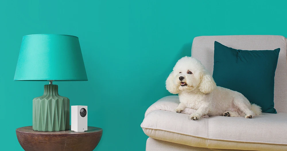 Origianl Xiaomi Mijia Xiaofang Dafang Smart Camera 1080p HD Intelligent Security WIFI IP Cam Nightshot 120 degrees wide angle5