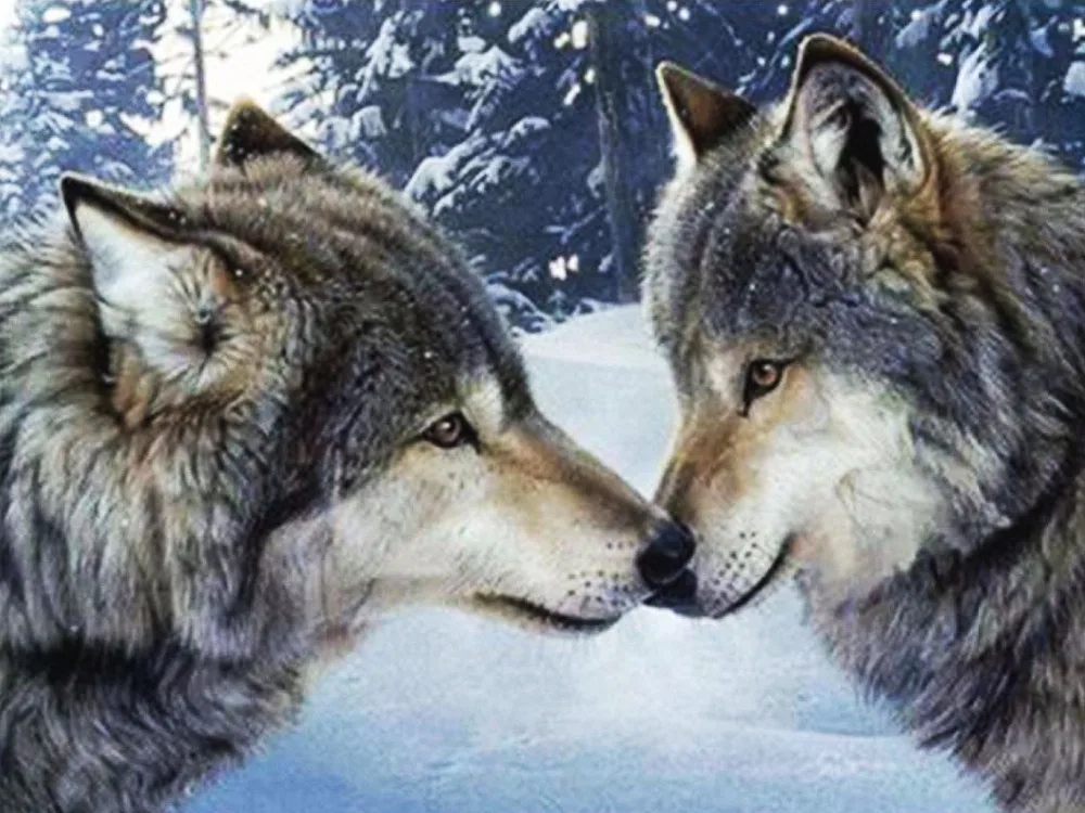 

Diamond Embroidery Wolf Love Mosaic Crystal 5D Cross Stitch Full Square Drill Diamond Painting DIY Sticker Decor Paintings