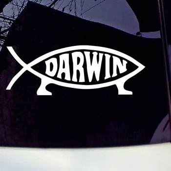 

HotMeiNi Car Sticker Jdm styling Window Bumper Decal Vinyl Auto Fridge Tailgate Waterproof Darwin Fish 14*5cm