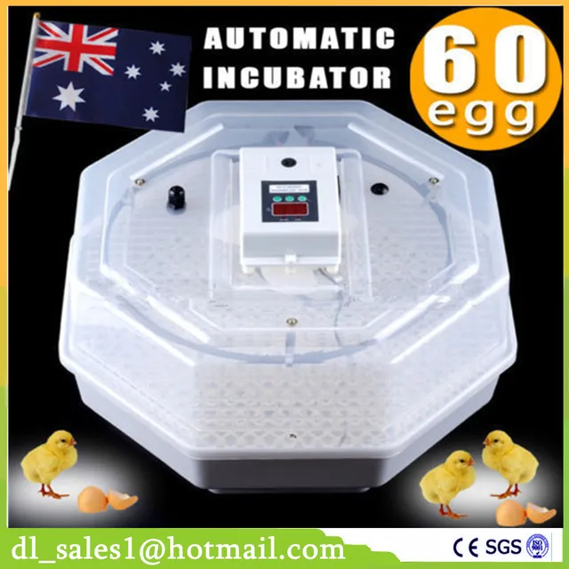 Home Use Cheap Poultry Incubators Hold 60 Egg Digital Mini Incubator Poultry Chicken Duck
