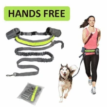 Coleira de cinto elástica reflexiva para corrida, pet, cão, gato, jogging, cintura acolchoada, faixa perfeita para caminhada, treinamento, conjunto, mãos livres