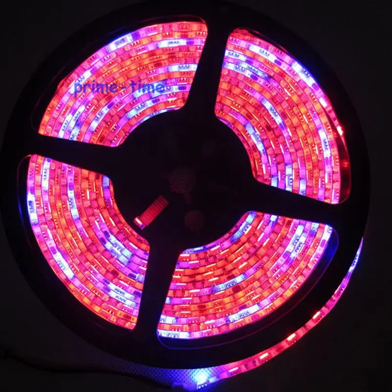 cheap 5M 16.4ft DC12V IP65 Epoxy Resin Waterproof 5050SMD 60LED M 5 Red 1 Blue 51 Mix Color Plant Grow Aquarium Flexible LED Strip