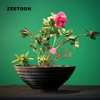 

Japanese Zen Style Vintage Vase Ikebana Creative Home Decor Living Room Tabletop Food Plate Soup Bowl Annual Rings Flower Pot