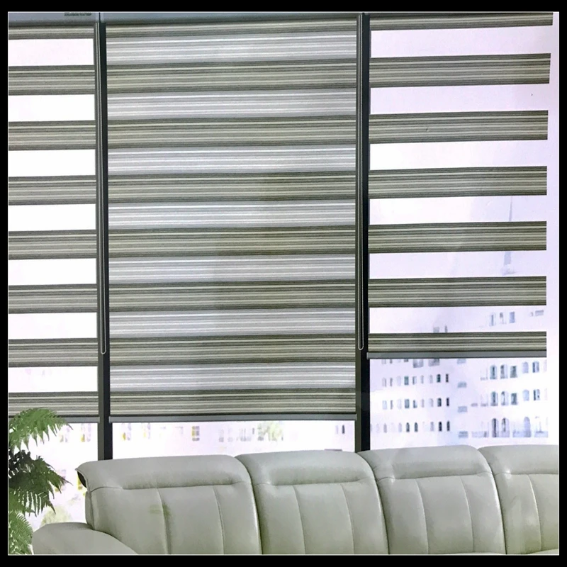 FREE SHIPPING Popular mulit color zebra blinds double layer roller ...