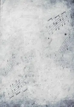 

5X7ft vinyl photography background Stereoscopic wall backdrops for Photo studio F-659