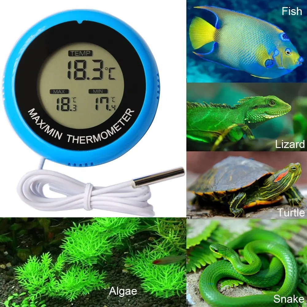 best temperature for goldfish tank best temperature for goldfish tank