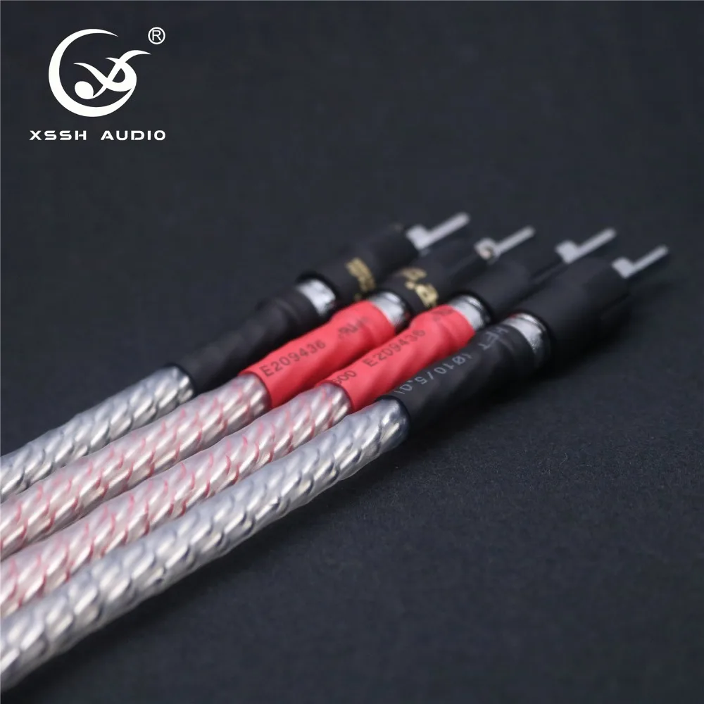 bi wire 01