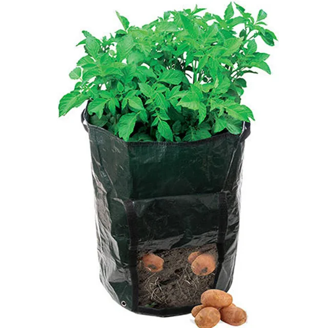 Kartoffeln pflanzkissen pflanzentöpfe tomaten gemüse balkon plastikblumentöpfe.jpg 640x640.jpg