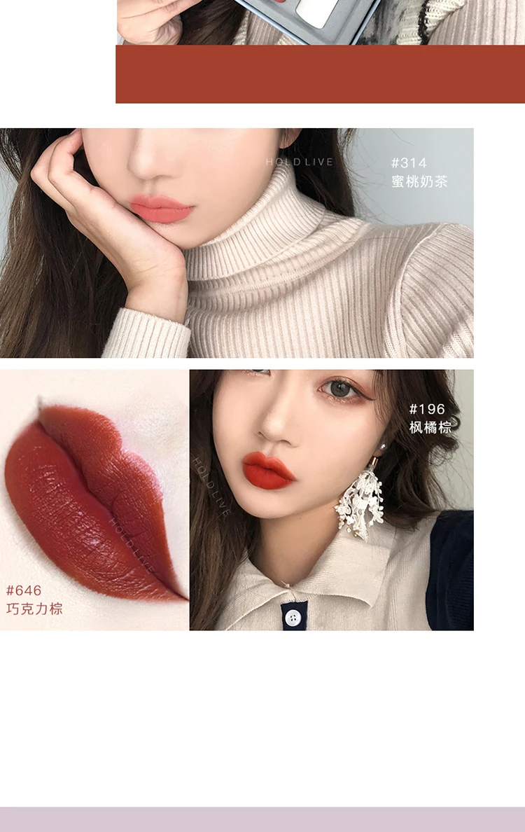 Brand HOLDLIVE 5Pcs Velvet Matte Lipstick Set (20)