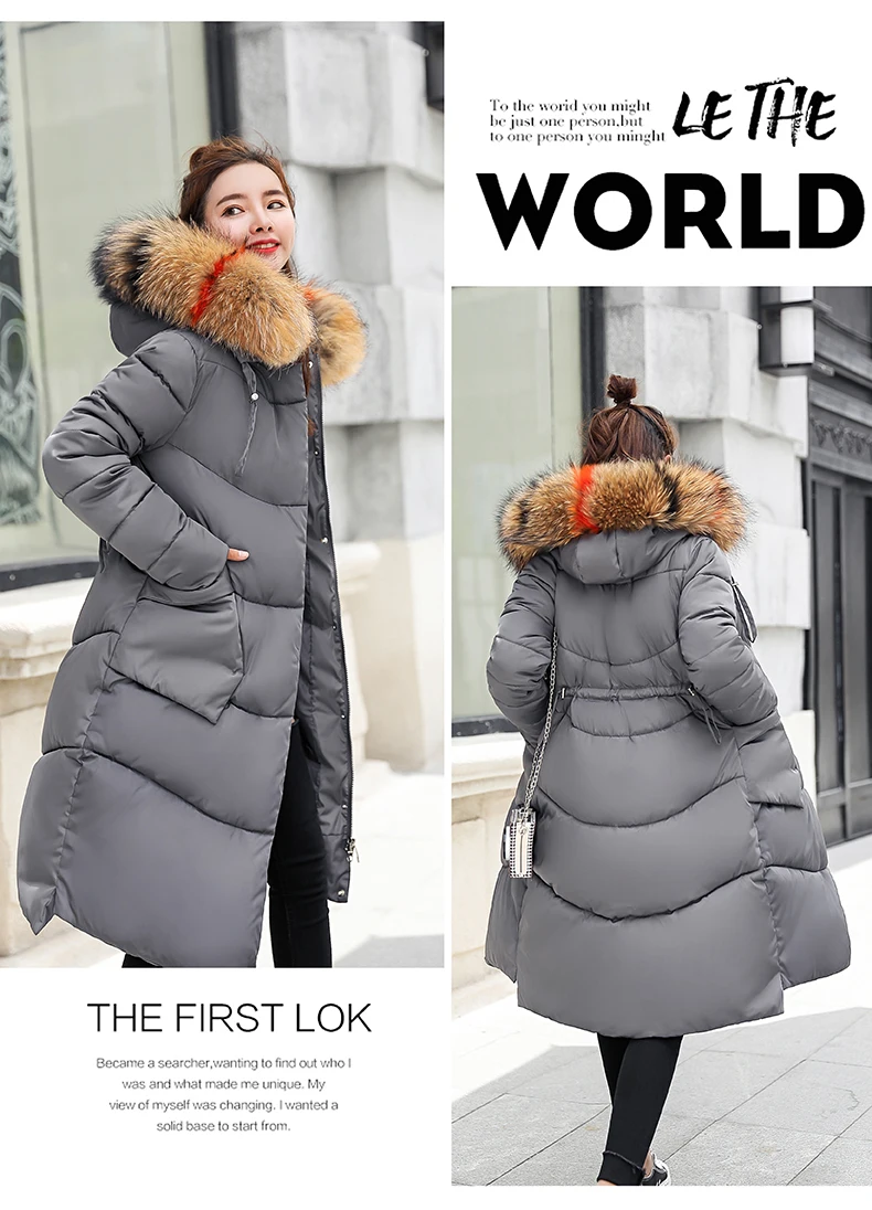 Winter Jacket Women Medium And Long Section Big Fur Collar Cotton Clothing Winter Jacket Women Coats Women Parka 2018 CH778 (26)
