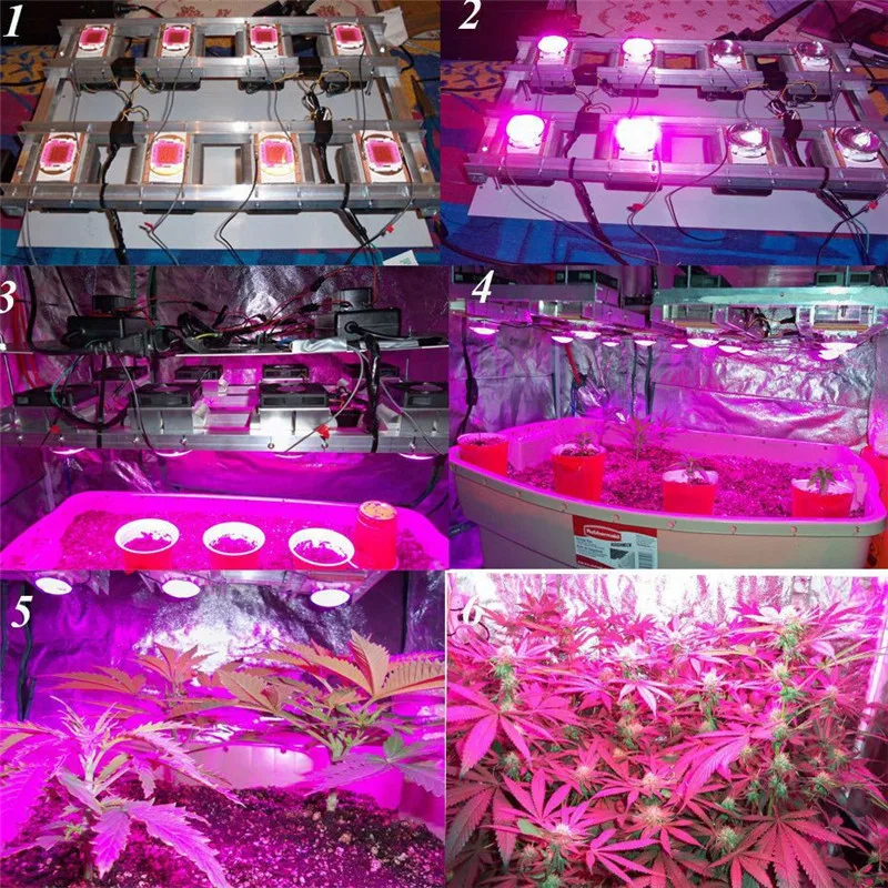 2шт светильник для выращивания бусин полный спектр 9-12 в 10 Вт Светодиодный светильник для растений диоды светильник для роста сада цветущие растения Гидропоника 900mA