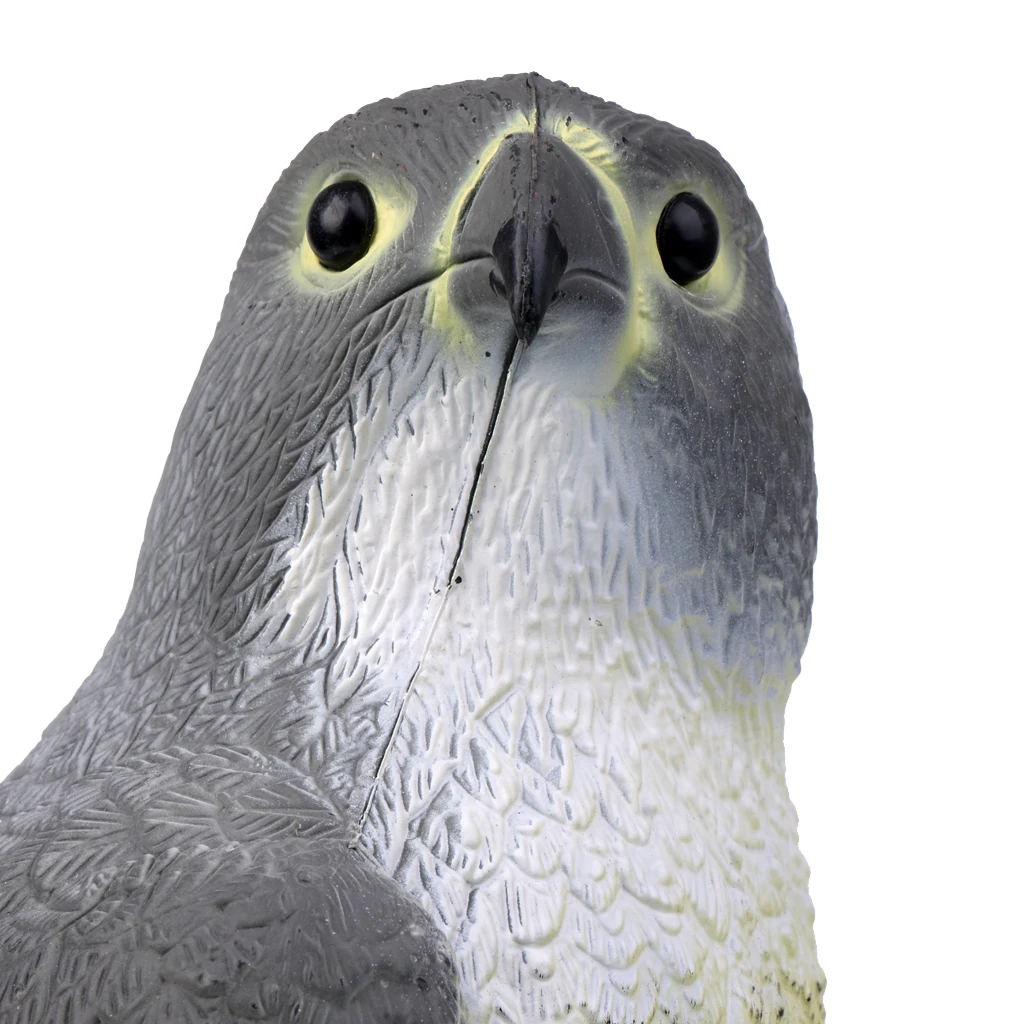 Lifelike 3D Eagle Hunting Decoy - Bird Pigeon Scarer Scarecrow