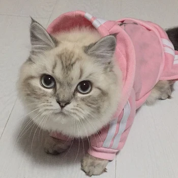 Fashion Cat Clothes For Cats Winter Warm Cotton Cat Clothing For Pets Kitten Outfit Kedi