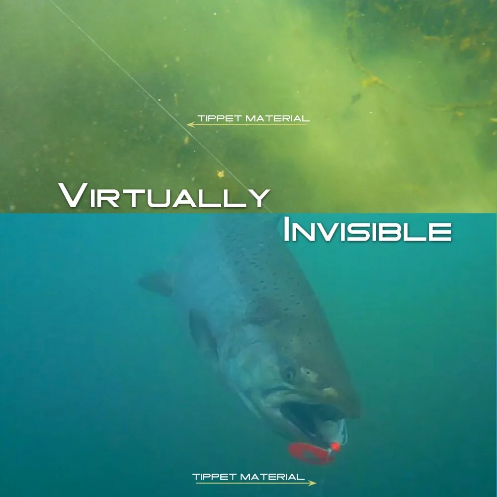 ^AE0977B6DFE04079DDC30BEBD11EA8501E72068F94FB43A869^pimgpsh_fullsize_distr_