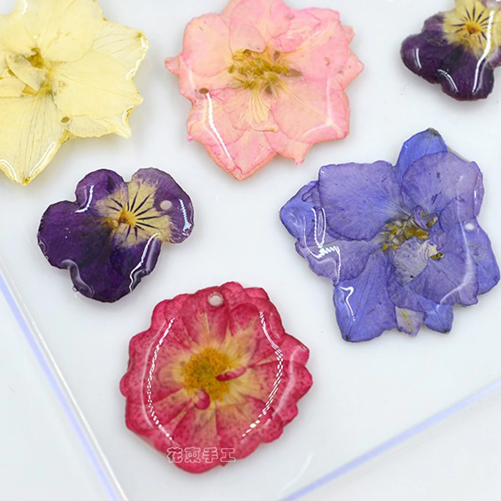 12pcs Epoxy Natural Dried Pressed Flowers Cassiae Phone Case DIY Raw Material Painting Photo Frame Decoration Cassia Dry Flower