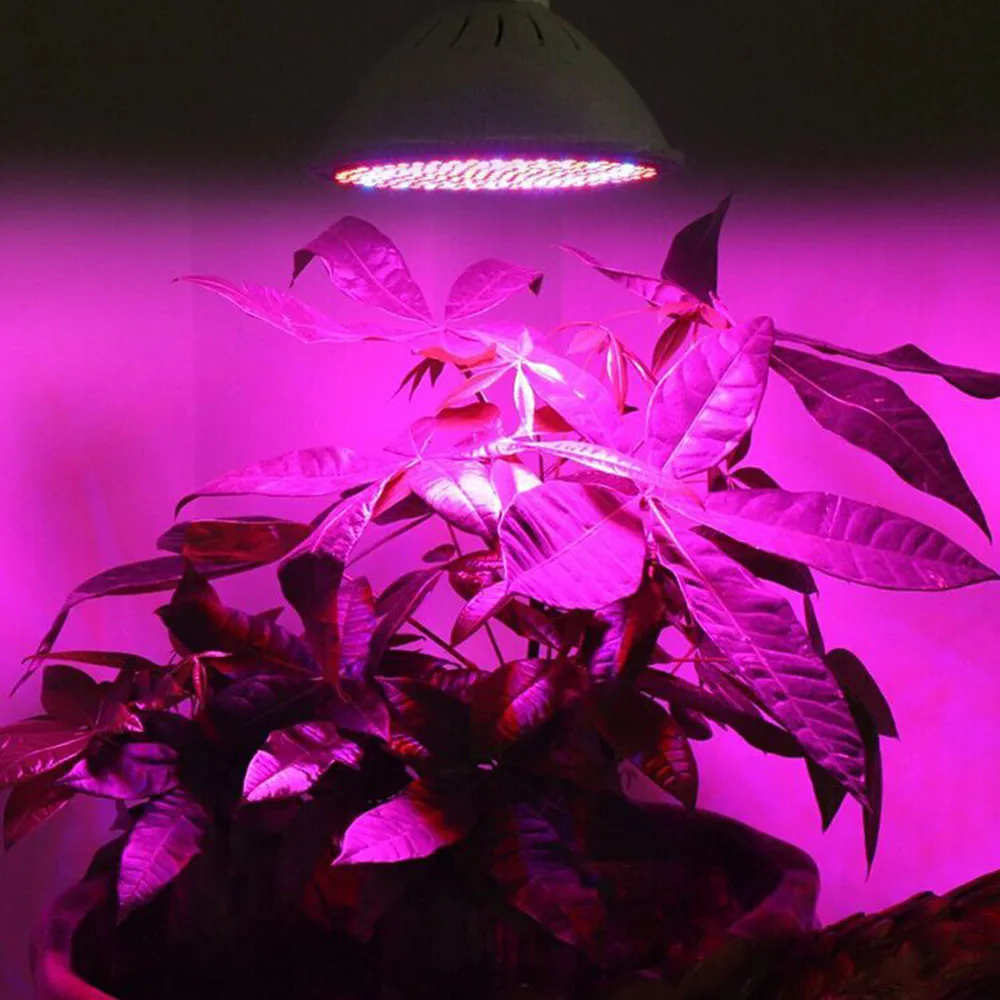 

E27 200 Led Grow Light Hydroponic Lighting With Clip Plants Lamps For Plant Flower Vegetable Growing Indoor Greenhouse/15