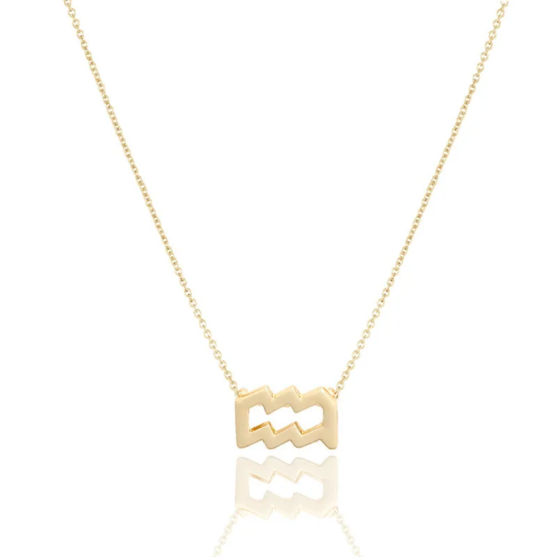 12 Созвездие Ожерелье Водолей Кулон ожерелье золотой цвет цепи для женщин модные ювелирные изделия сделать открытку желаний