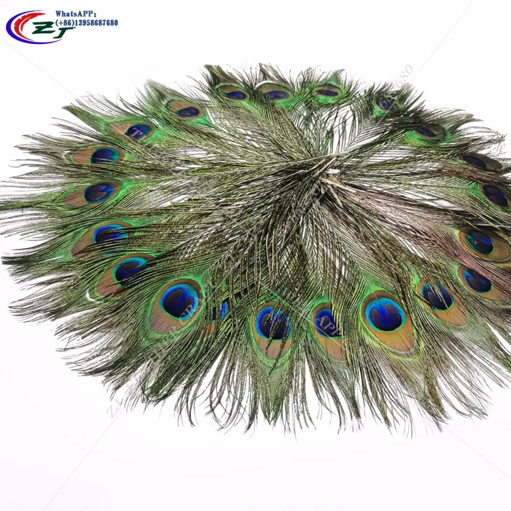 

10PCS Natural Peacock Feather 23-50cm Clothing Decoration Plumage Crafts Ostrich Peaccok Eye Feather For Party Dress/DIY Craft