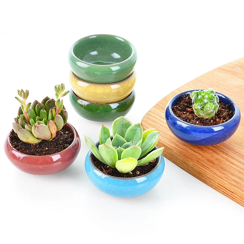 1 Pcs Round Glazed Mame Bonsai Mini Cactus & Succulent Pot 5x5x3cm 