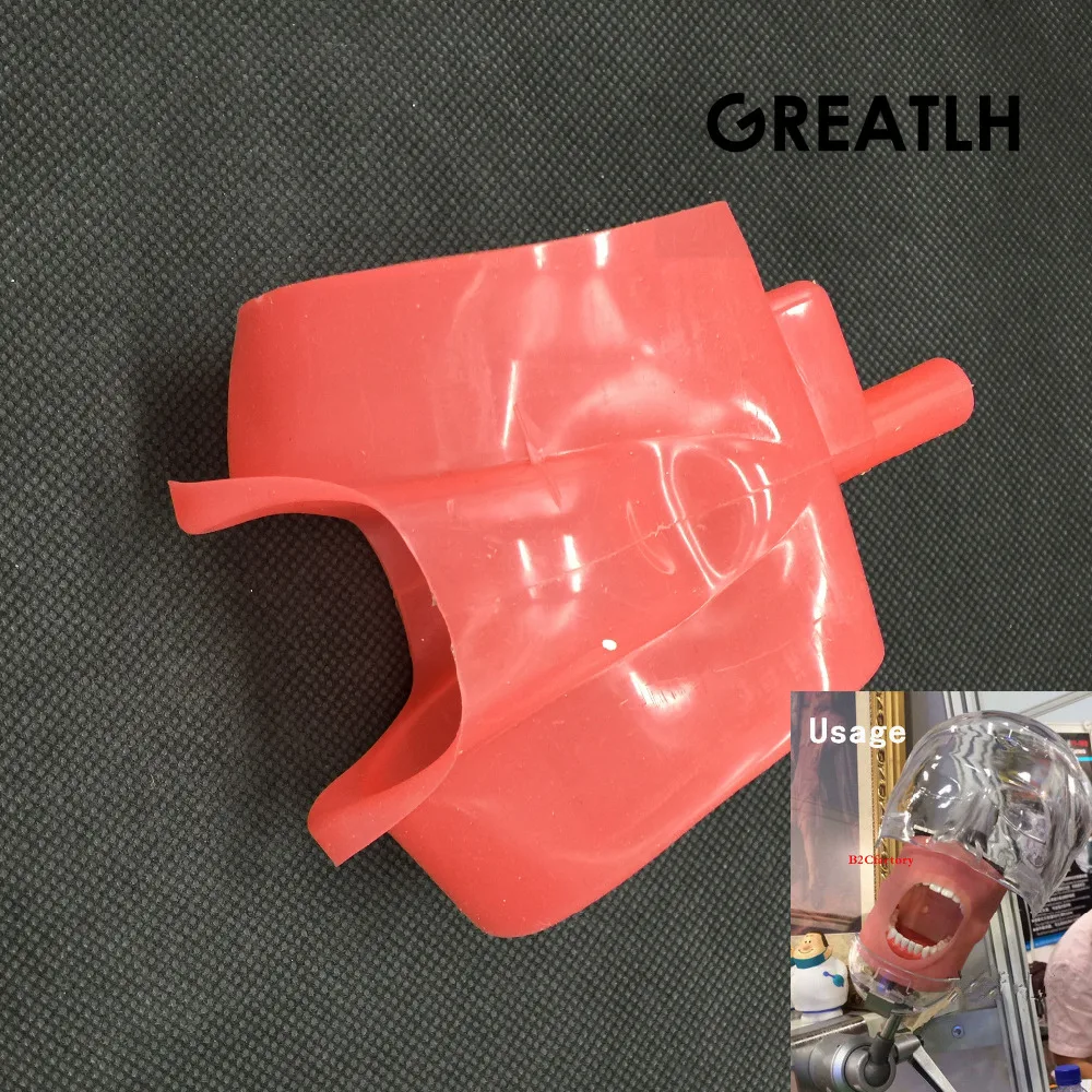 

Dental Tooth Mouth Mask Study Teaching Model Mask Holder Decor