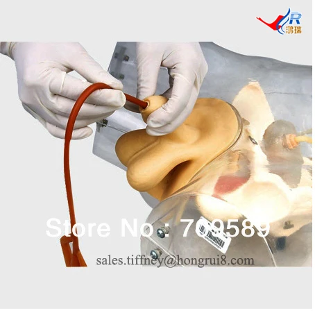 Улучшенная Прозрачная Мужская мочевая Катетеризация|urinary catheterization|catheterization