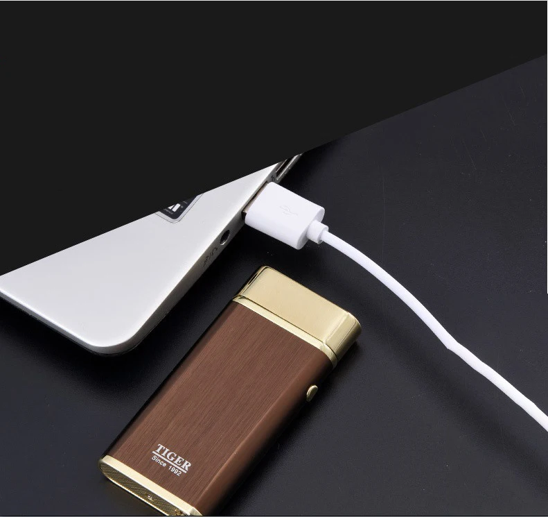 Tiger брендовая плазменная USB Зажигалка для деловых мужчин стиль Cigaratte ветрозащитная электрическая зажигалка Бесплатный лазерный логотип