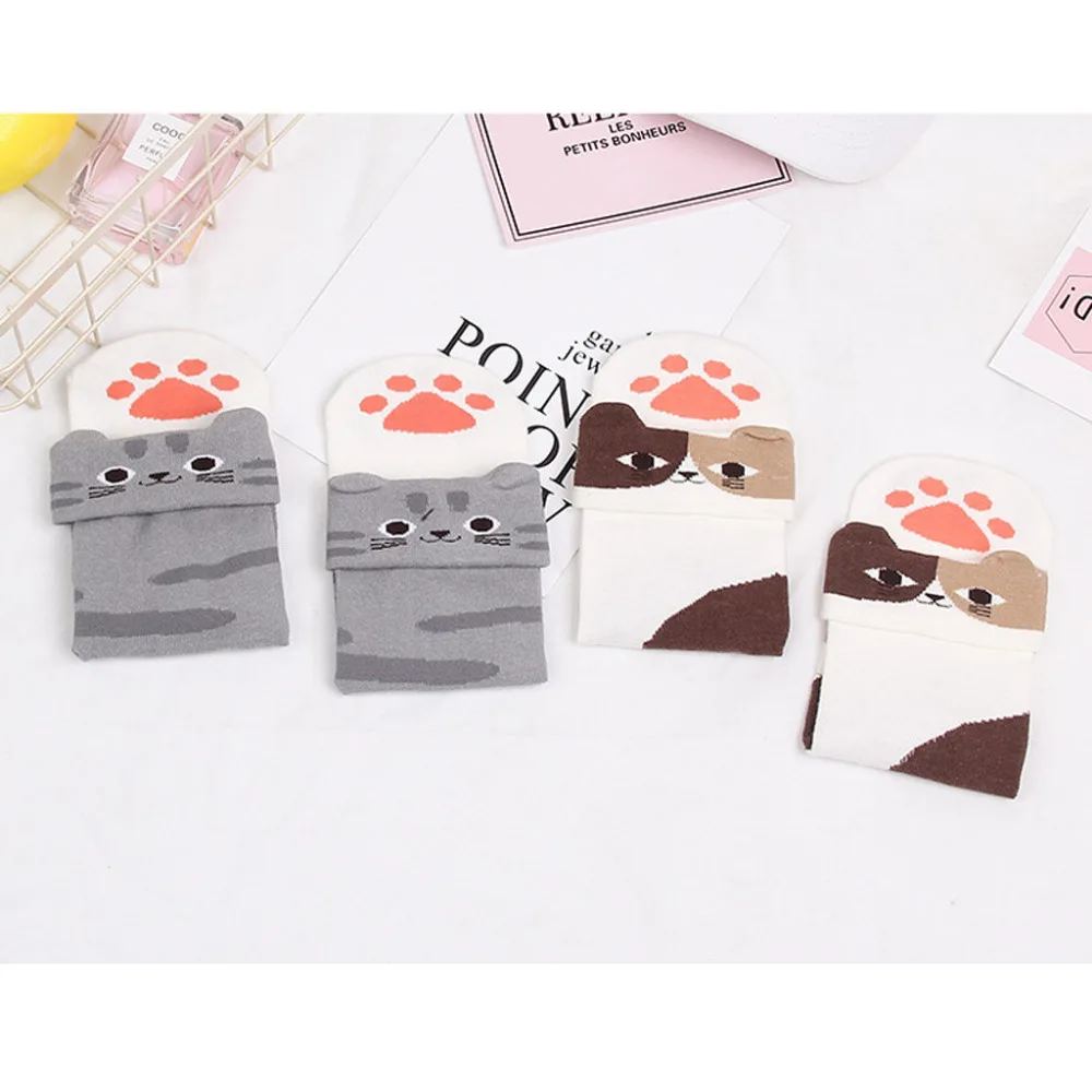 BHP81127322_20181127081104857