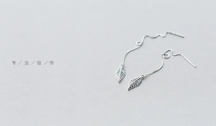 4275270016_1177762227