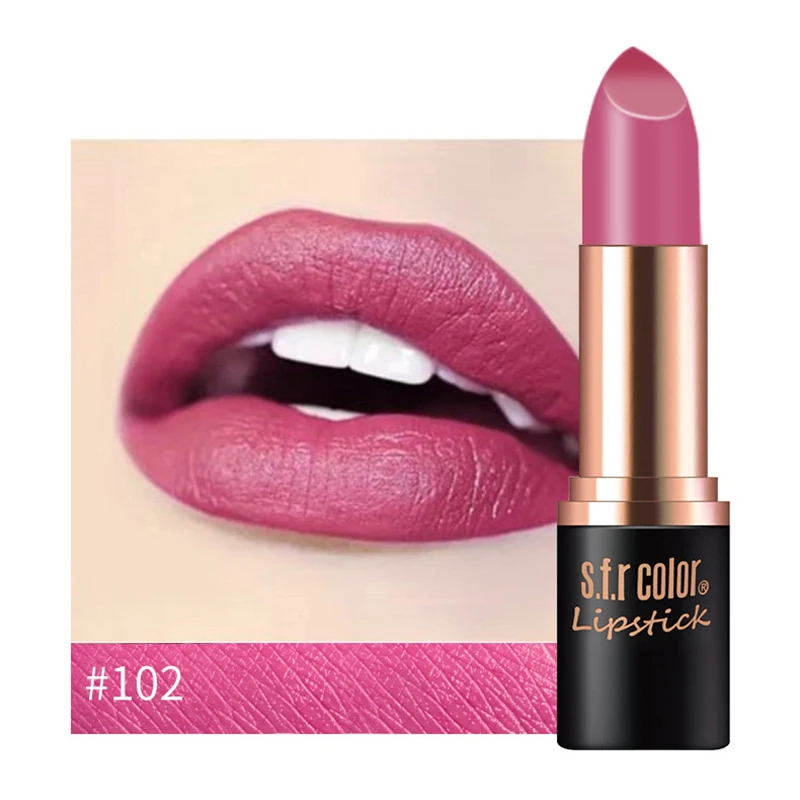 New Matte Lipstick 12color Easy To Wear Waterproof Long-lasting Matte Lip Gloss Lipstick Lady Sexy Lipstick Lip Balm TSLM2 - Color: 102