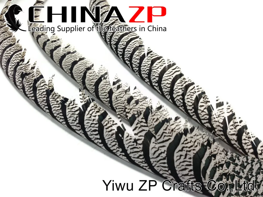 Tail Feathers, 10 Pieces - 30-35 ZEBRA Black and White Lady Amherst Pheasant Tail Feathers 57