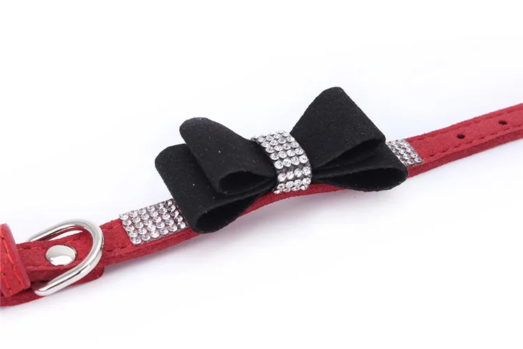 dogs collar (4)