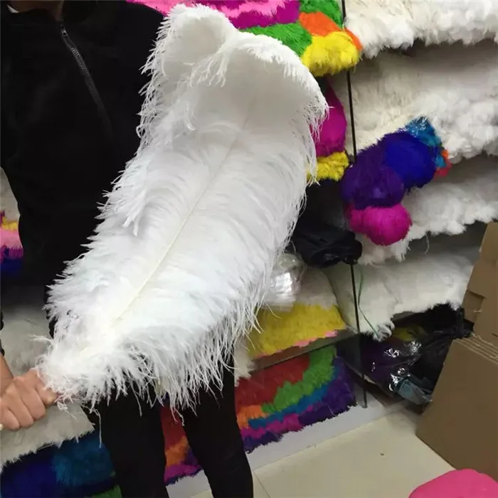 70-75cm ostrich feathers 1