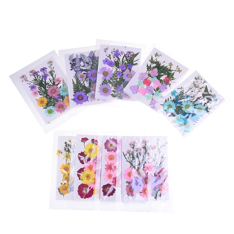 1 Pcs Beautiful Pressed Dried Flower Dry Plants For Epoxy Resin Pendant Necklace Jewelry Making Craft DIY Accessories|Инструменты и