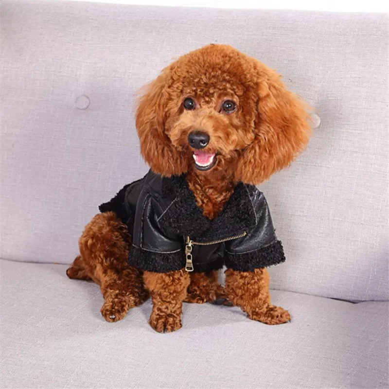 dog coats (9)